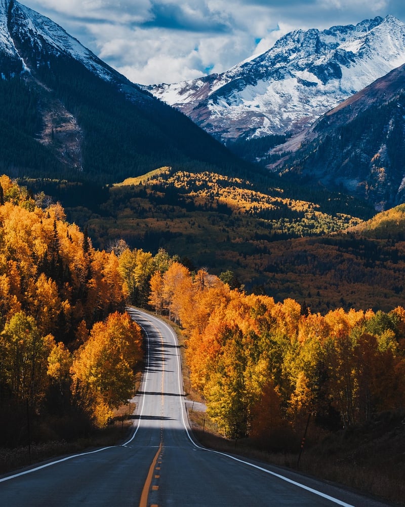 Path to Growth